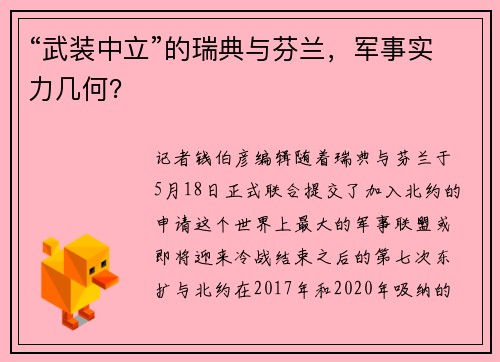 “武装中立”的瑞典与芬兰，军事实力几何？